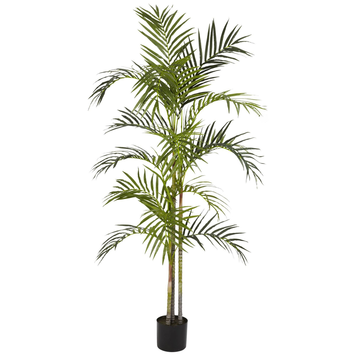 5 ft Areca Palm Silk Tree N974583