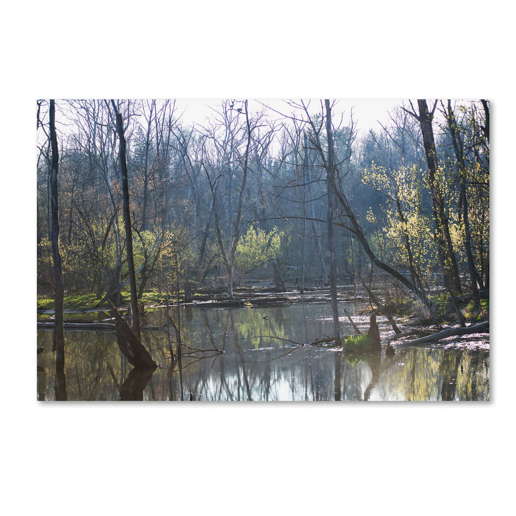 Canvas Art U312699