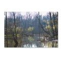 Canvas Art U312699