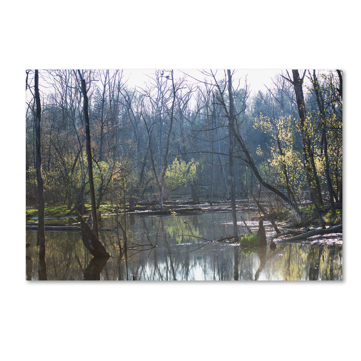 Canvas Art U312699