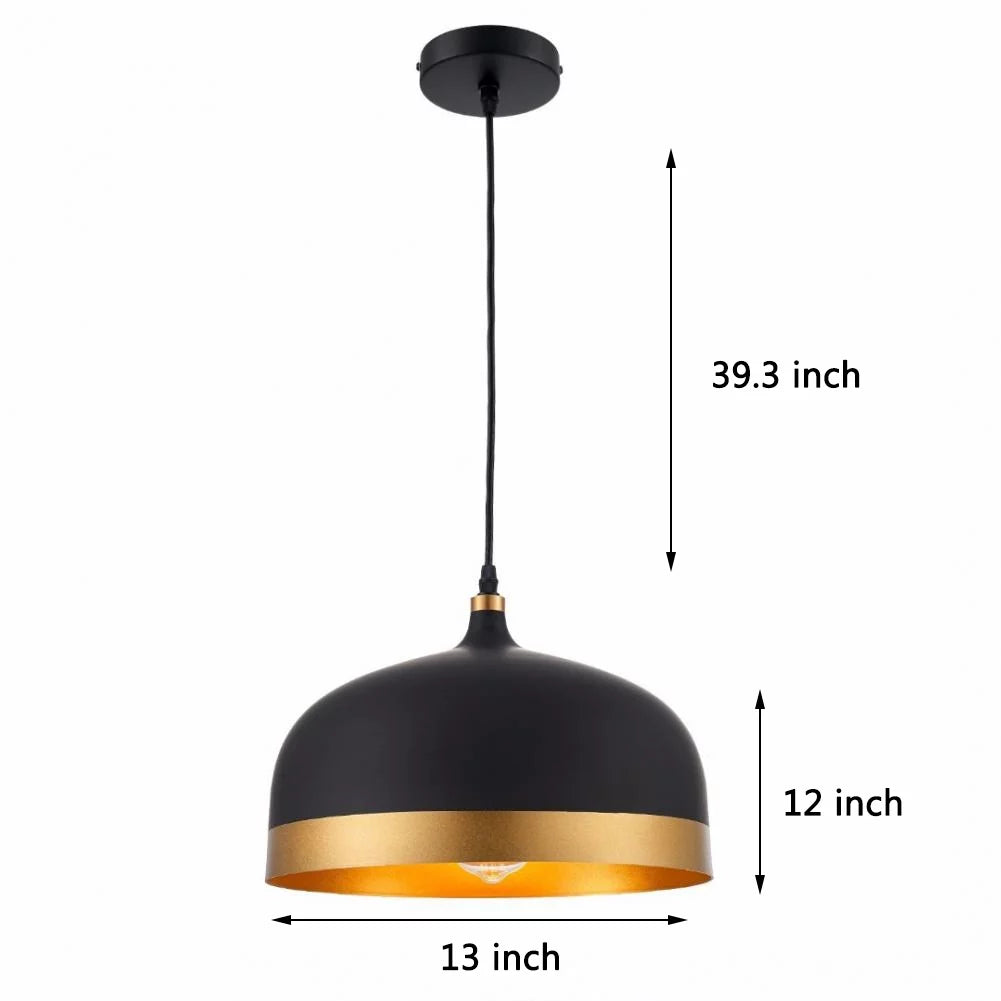 Black and Gold Metal Pendant Light Q951753