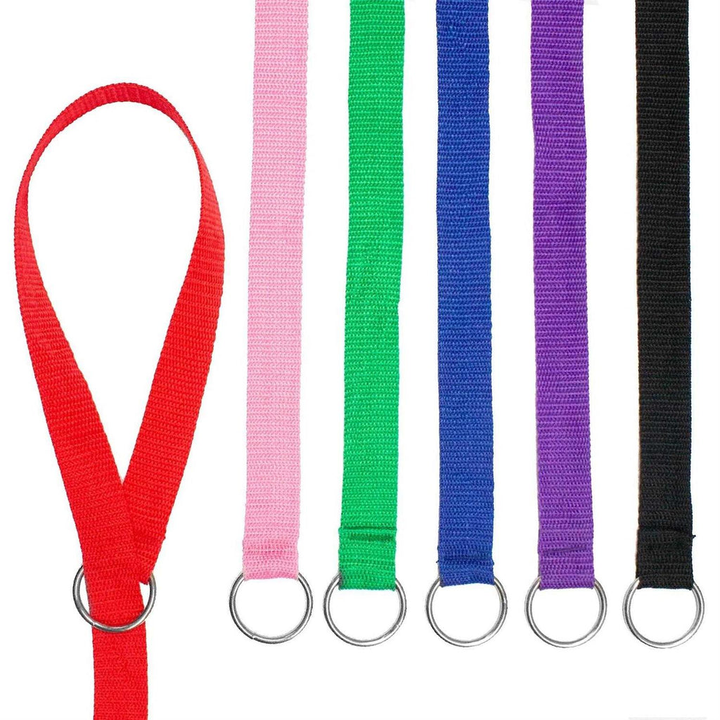 Dog Slip Lead Dog Leash R263952