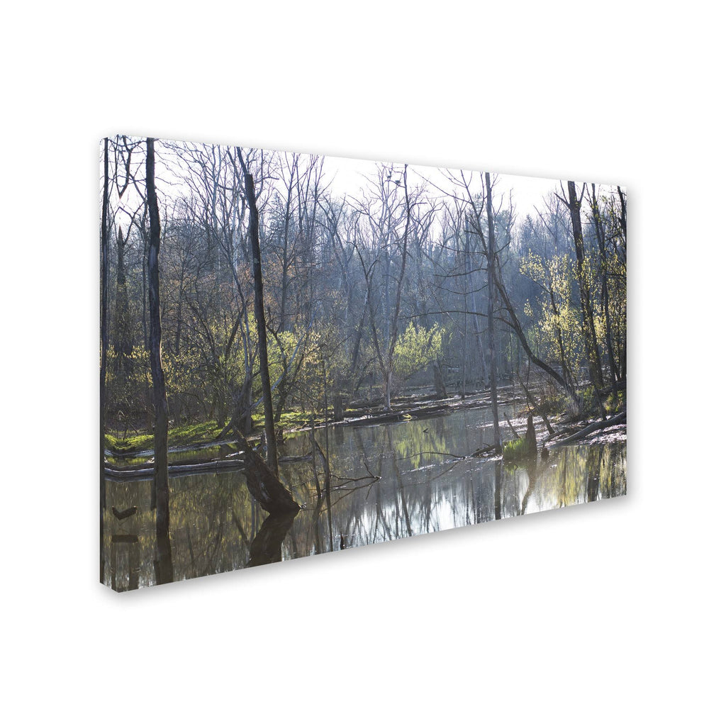 Canvas Art U312699
