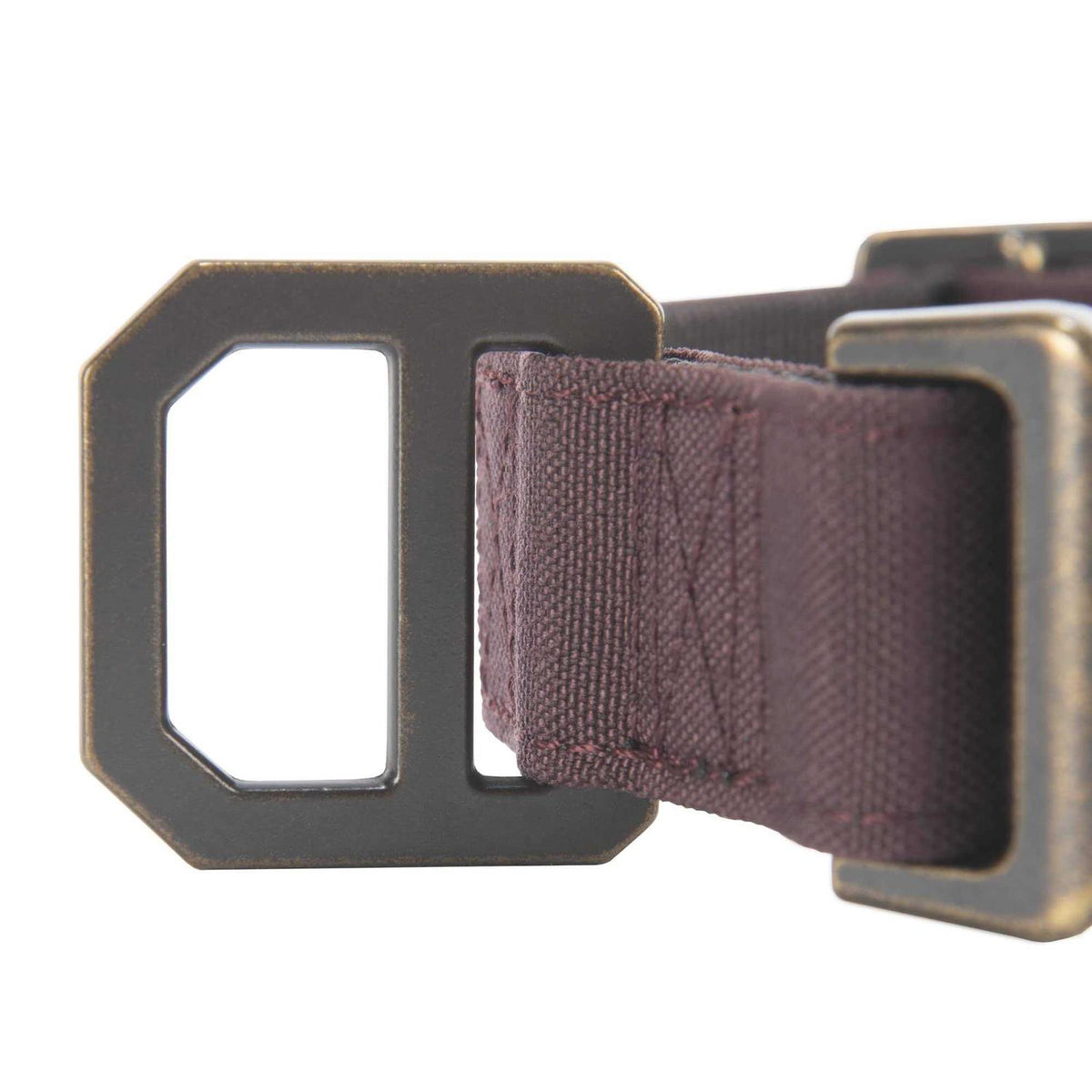 Nylon Dog Collar Q226888