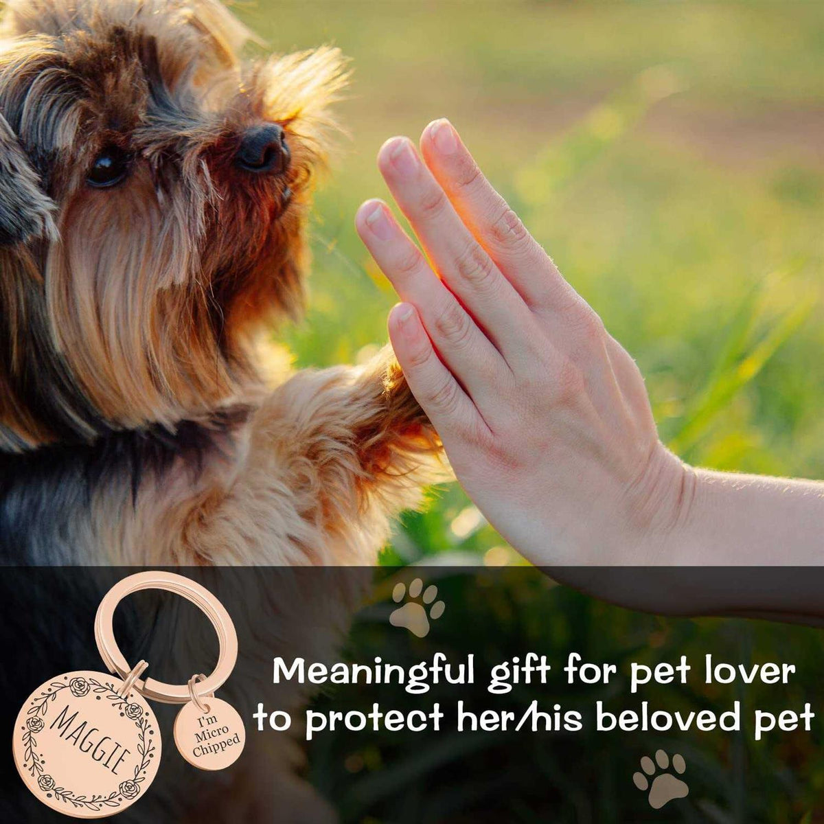 Stainless Steel Pet ID Tags R549852