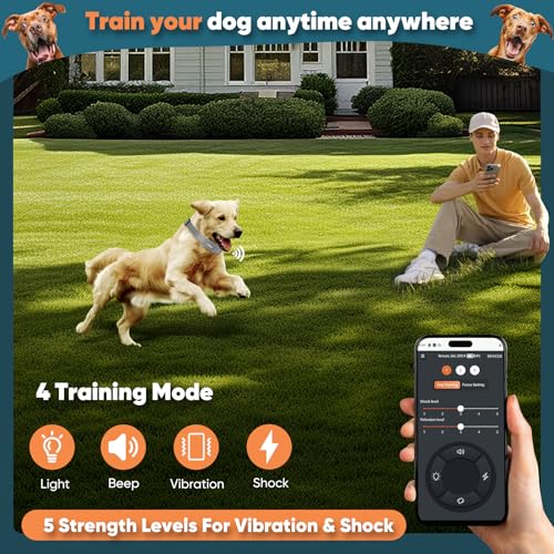 Electric Dog Fence with Training Collar, Rechargeable Waterproof Collar S860