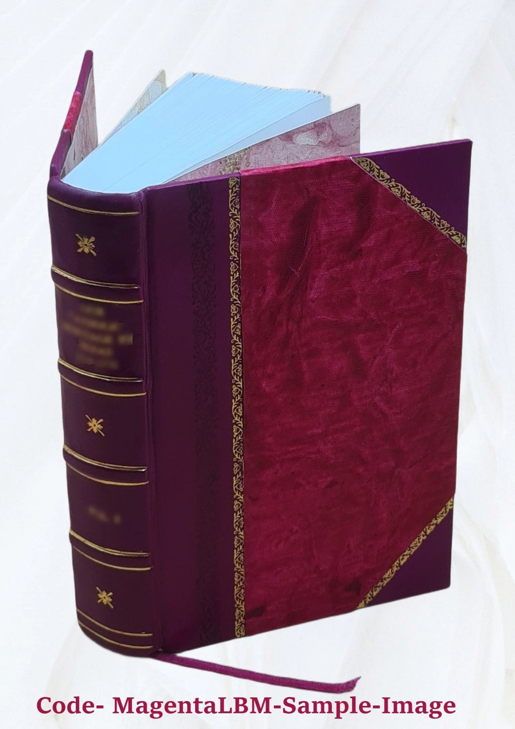 Alpha Sigma Phi Leather Bound T4993
