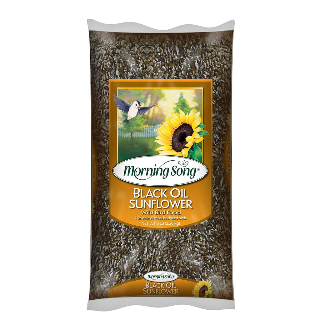 Black Oil Sunflower Wild Bird Food O581