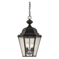 13-Inch Wide Hanging Traditional Oiled Bronze R263731