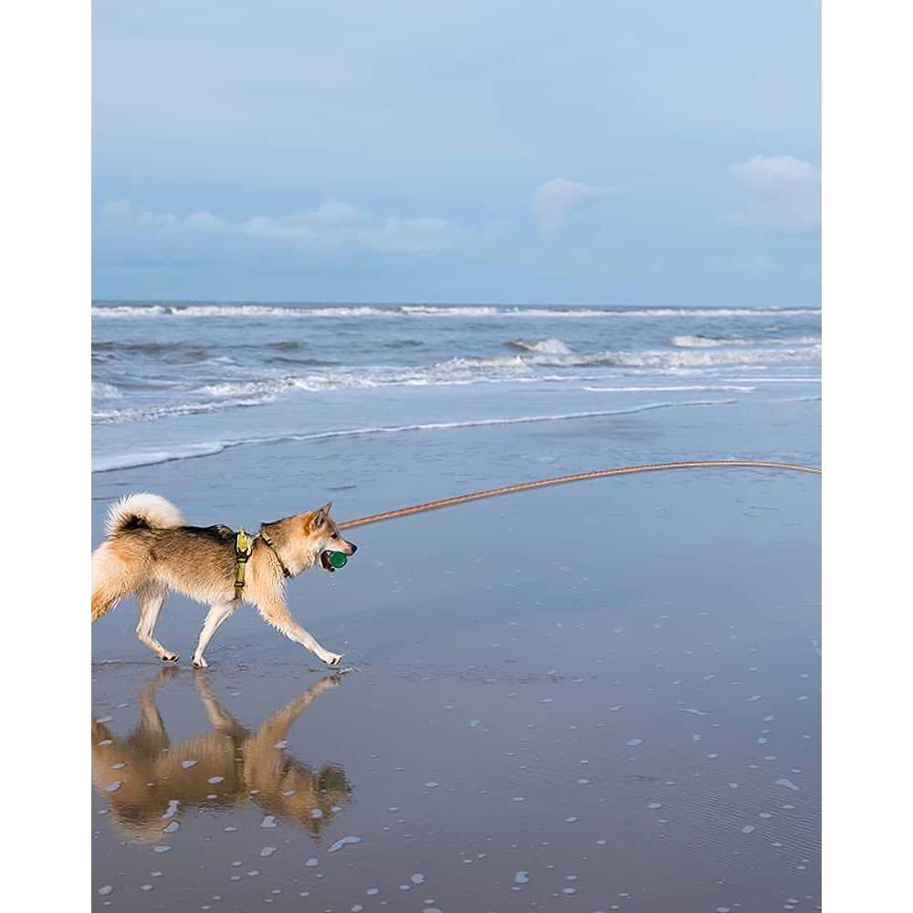 Long Dog Leash Reflective Threads Check Cord N408062