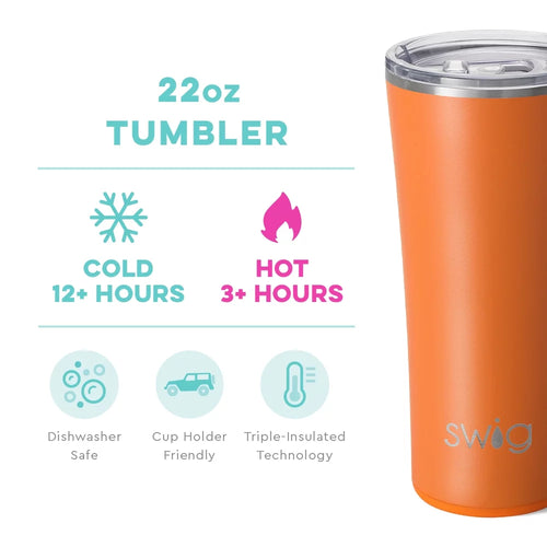 22oz Insulated Stainless Steel Tumbler G2558