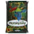 Black Oil Sunflower Wild Bird Food O581