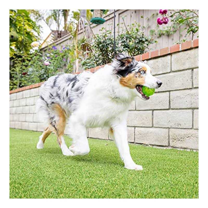 Dog Toy Ball X2517