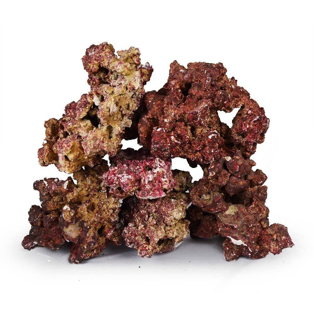 Real Reef Premium Live Rock for Saltwater Aquariums K717672