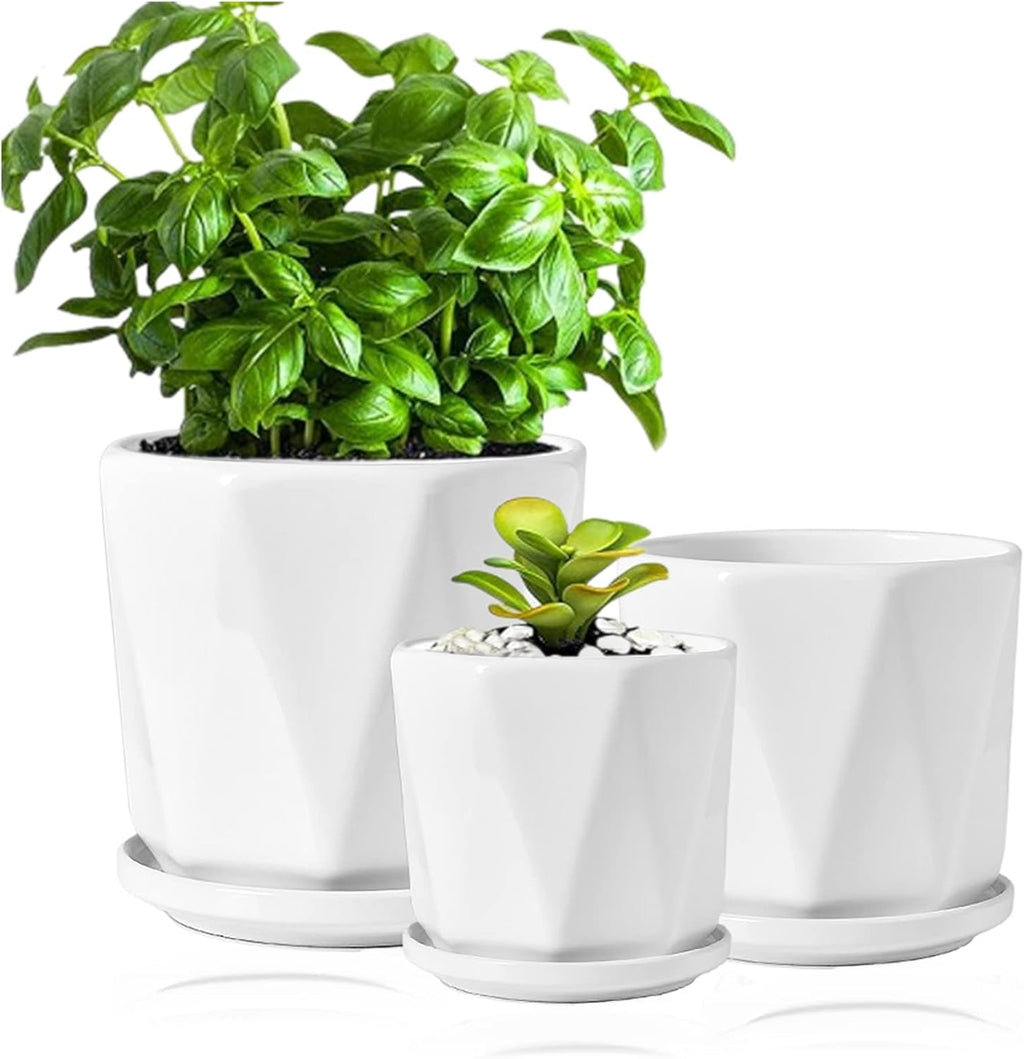 Set of 3 White Ceramic Plant Pots with Saucer Y481