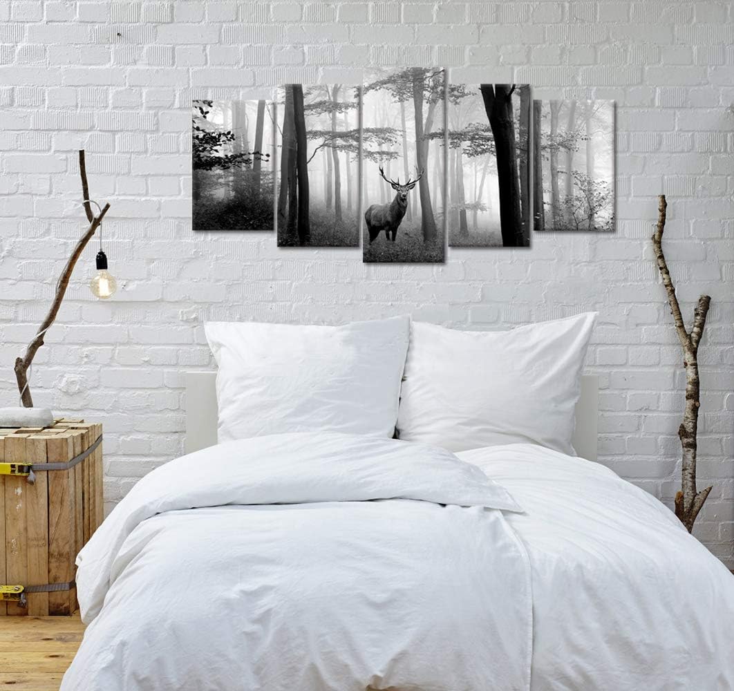 Black and White Deer Canvas Prints Artwork R28059
