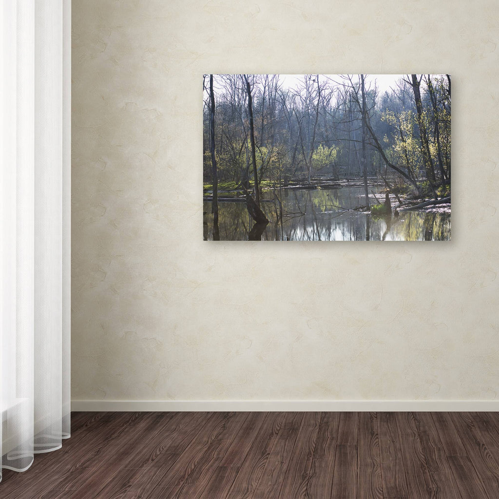 Canvas Art U312699