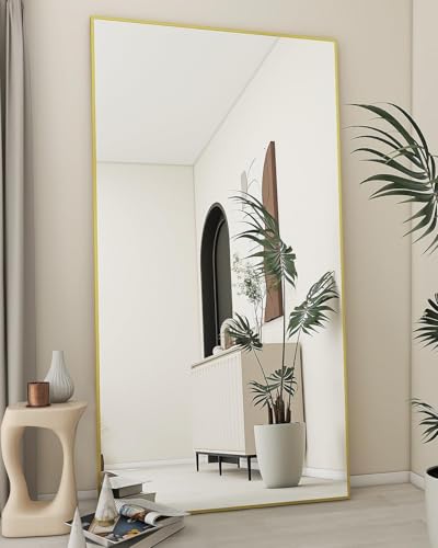 Black 65"x24" Full Length Mirror with Aluminum Alloy Frame B478