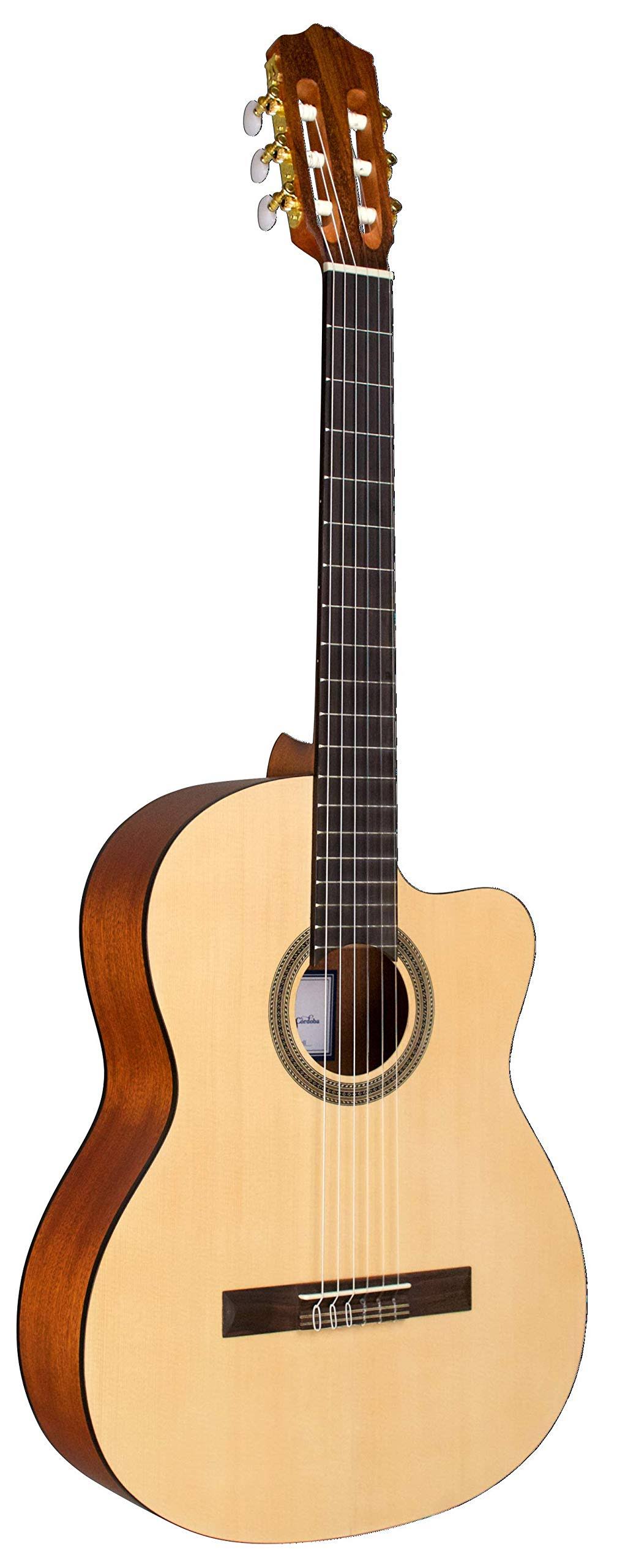 Acoustic Electric Classical Guitar H258
