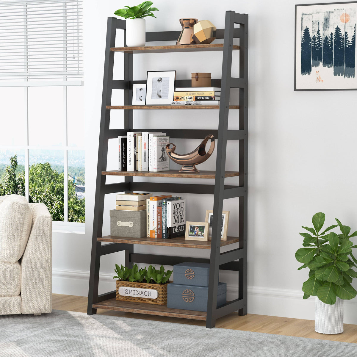 5-Tier Modern Bookshelf C557384