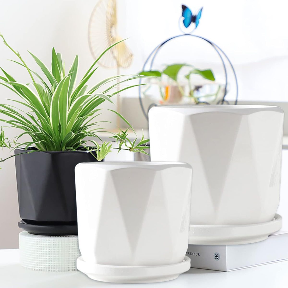 Set of 3 White Ceramic Plant Pots with Saucer Y481
