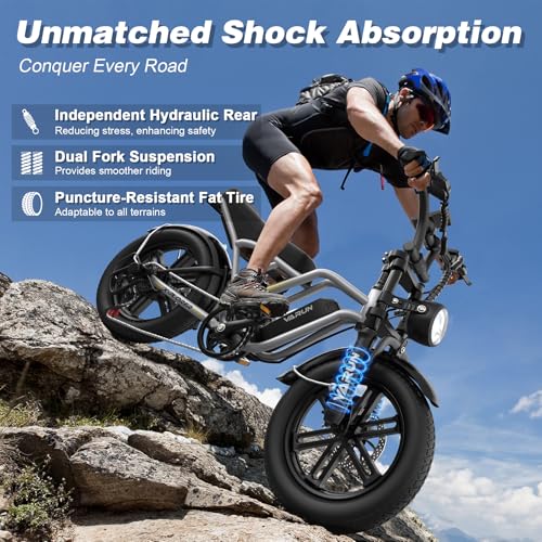 Electric Bike 750W 48V 13Ah Battery 20" Fat Tire B635142