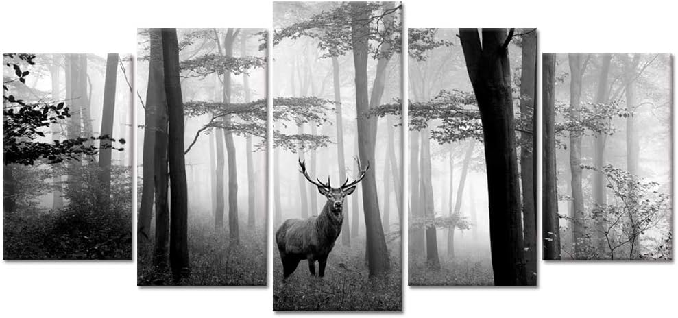 Black and White Deer Canvas Prints Artwork R28059