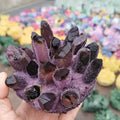 Purple Phantom Quartz Crystal Cluster Healing Specimen H55364