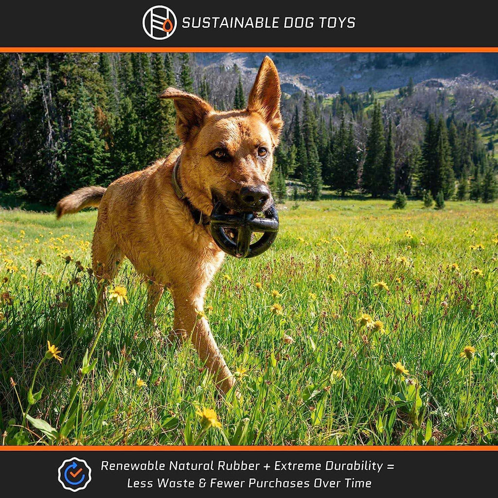 Tough Dog Toys for Aggressive Chewers Large Breed I75686