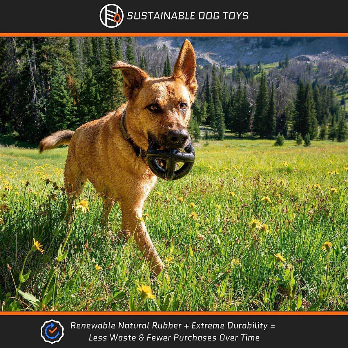 Tough Dog Toys for Aggressive Chewers Large Breed I75686