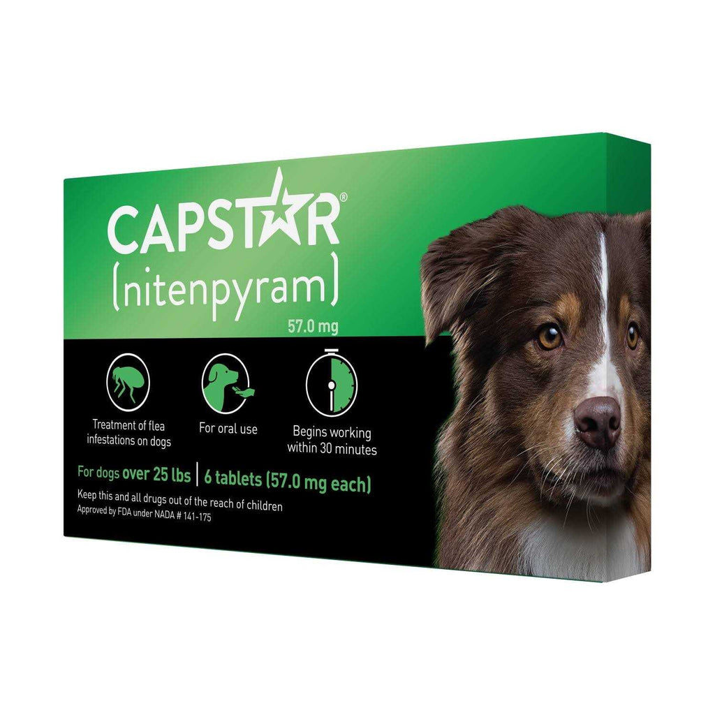 Flea Tablets for Dogs H45944