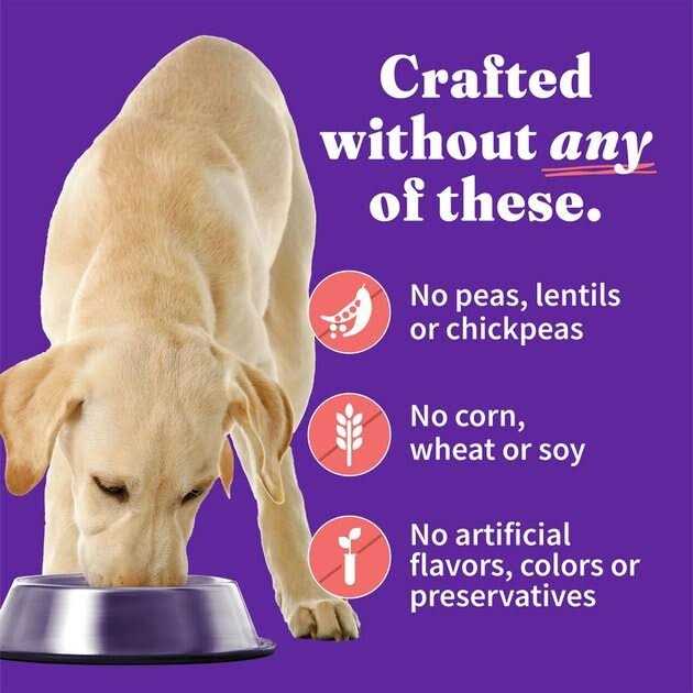 Chunky Chicken Stew Z14545