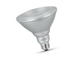 PAR38 LED Bulb G168083