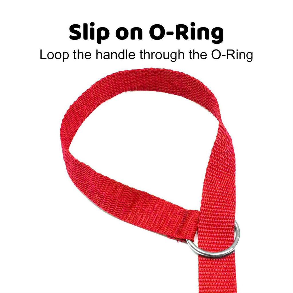 Dog Slip Lead Dog Leash R263952