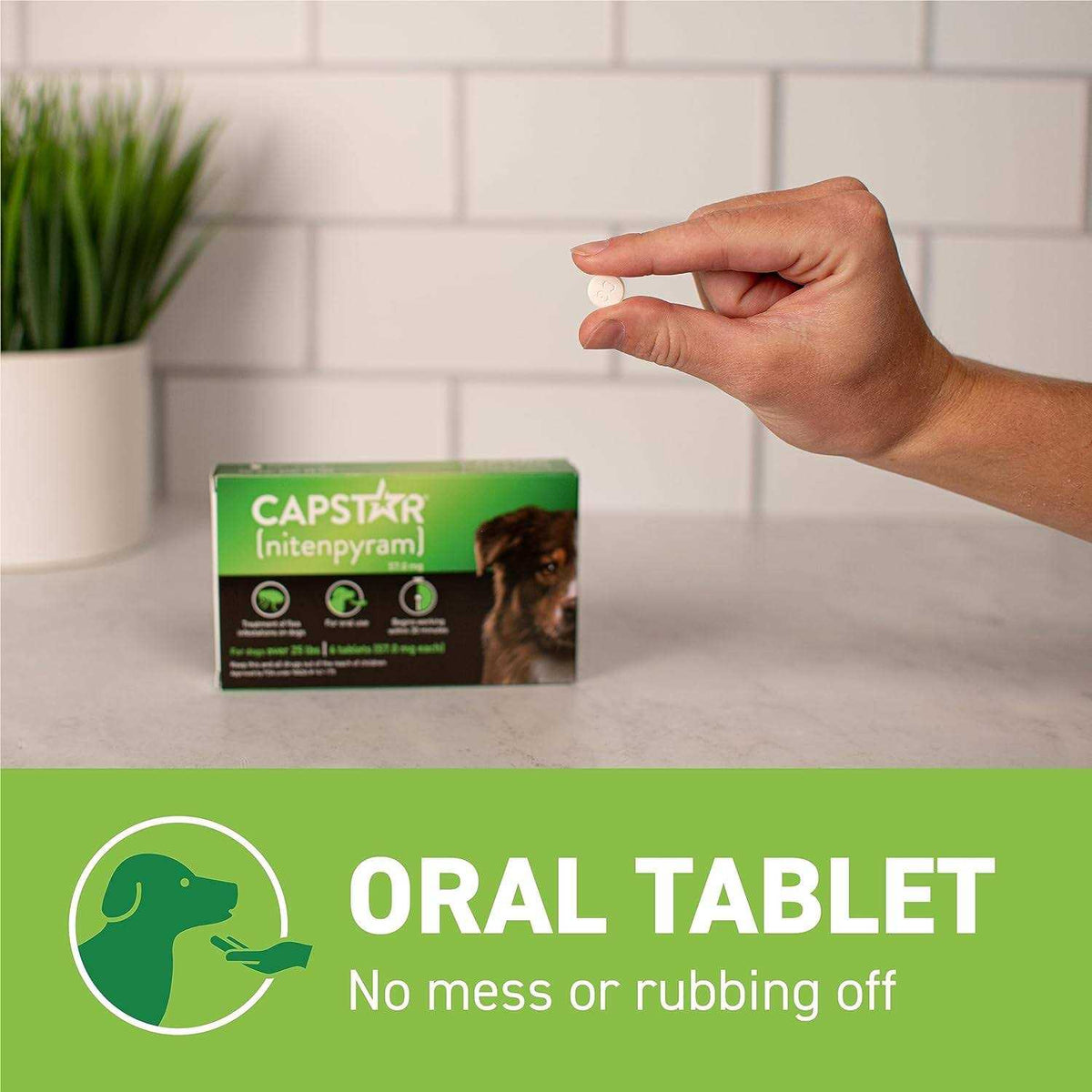 Flea Tablets for Dogs H45944