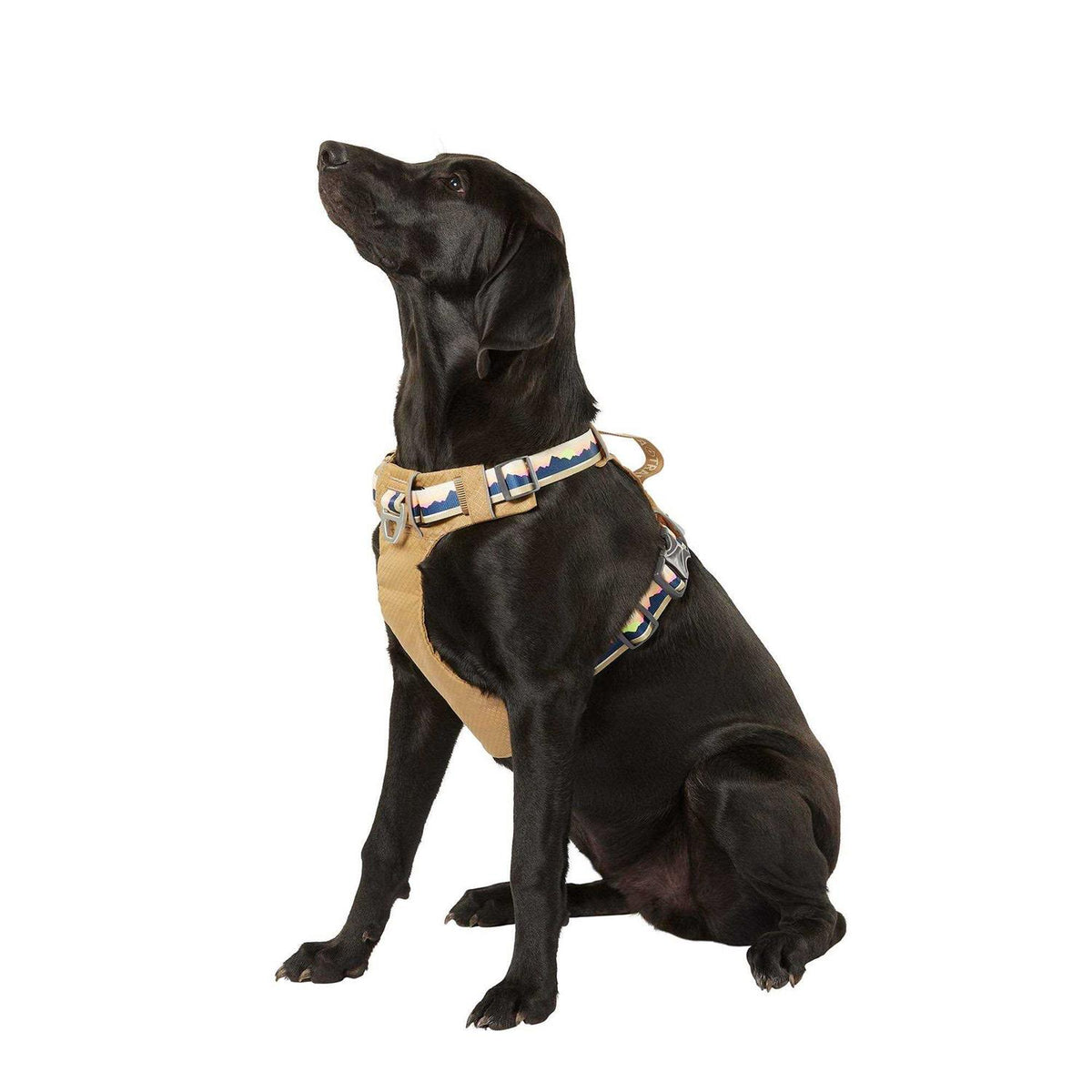 Lightweight Dog Harness B4304