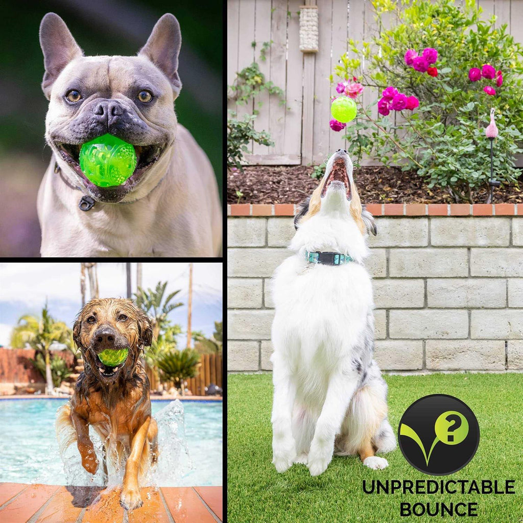 Dog Toy Ball X2517