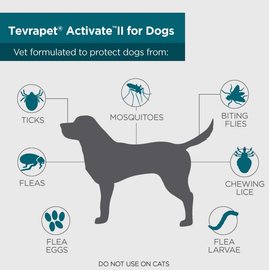 Flea and Tick Prevention for Dogs, Small 4-10 lbs, 8 Monthly Doses, Clear Pack of 2 T922060