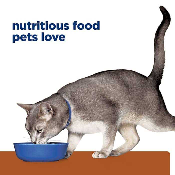 Kidney Care Cat Dry Food C67620