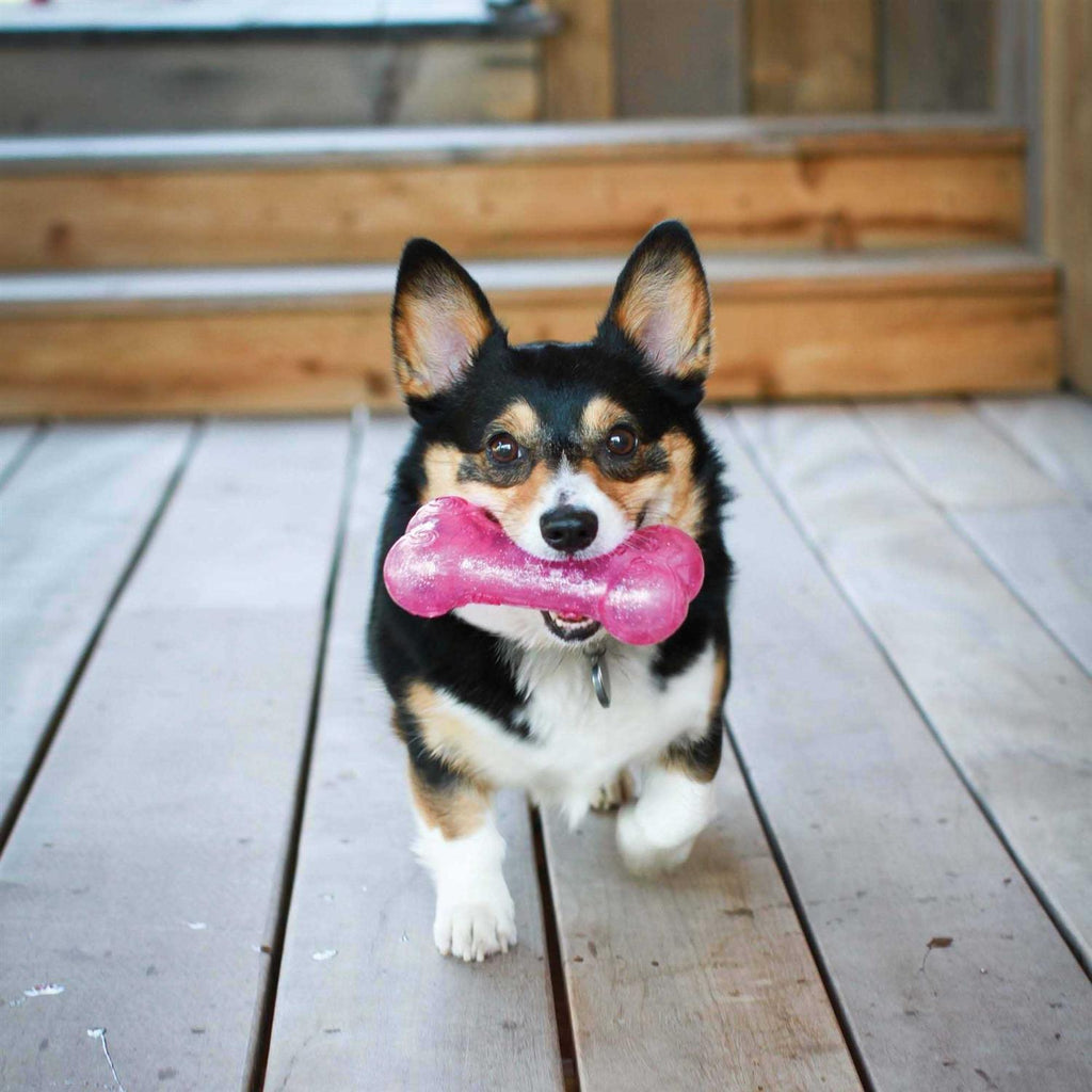 Dog Bone A1018