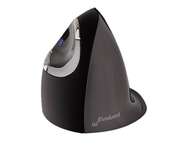 Wireless Mouse (Large) A723493