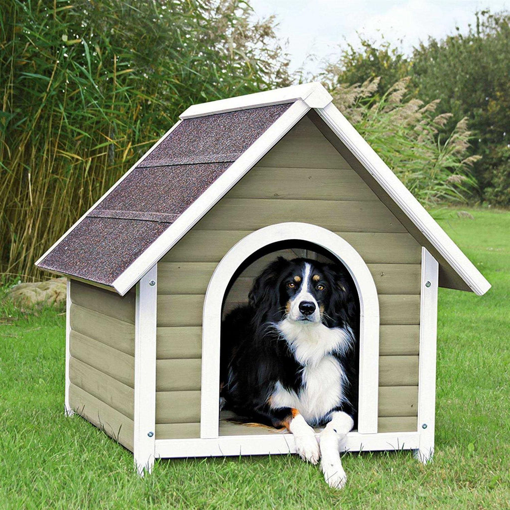 Dog House E987151