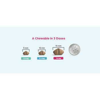 Chewable for Dogs D13706