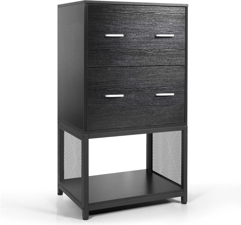 2 Drawer File Cabinet with Metal Wire Storage Shelves B83237