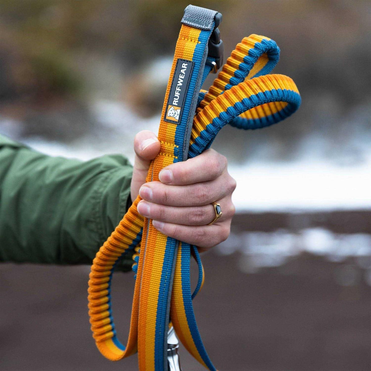 Leash R85810