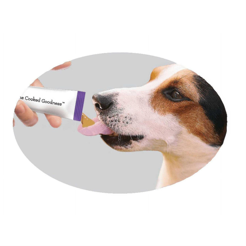 Peanut Butter Dog Treats O79122