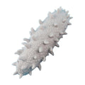 Animal Shape Massage Toy P9463