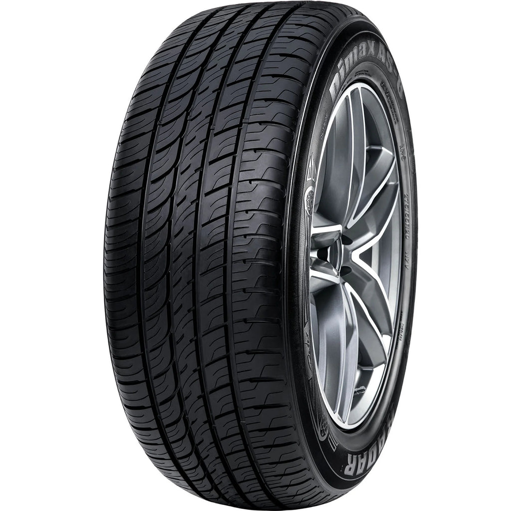 All Season 235/55R20 105W XL Passenger Tire N55318