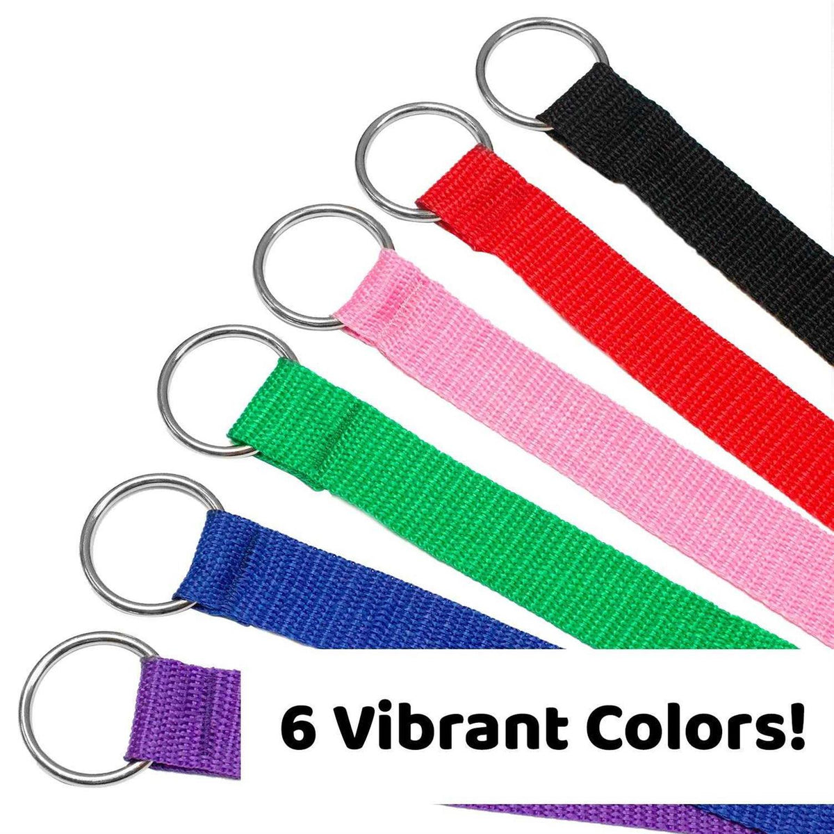 Dog Slip Lead Dog Leash R263952