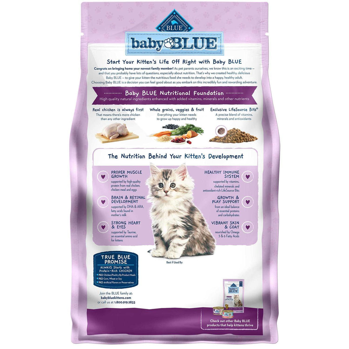 Kitten Dry Cat Food Chicken and Brown Rice N664